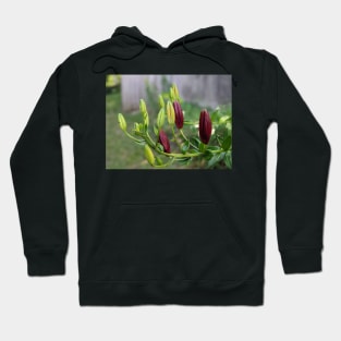 Multicolored Flower Buds 2 Hoodie